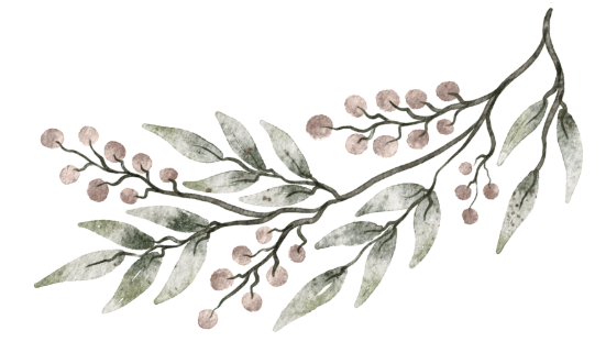 olive branch graphic